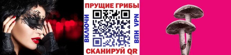 Псилоцибиновые грибы Magic Shrooms  цена   Бабушкин 